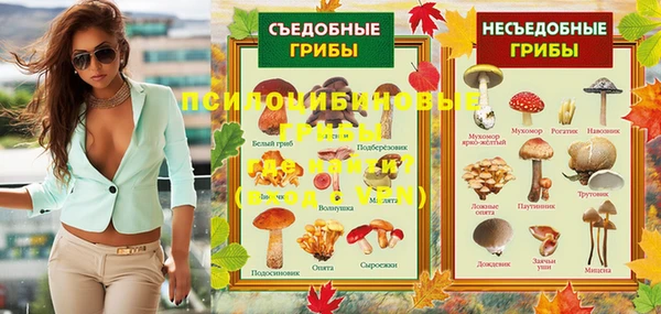 a pvp Осинники