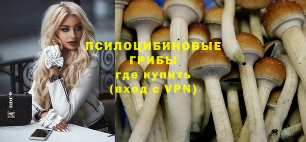 a pvp Осинники